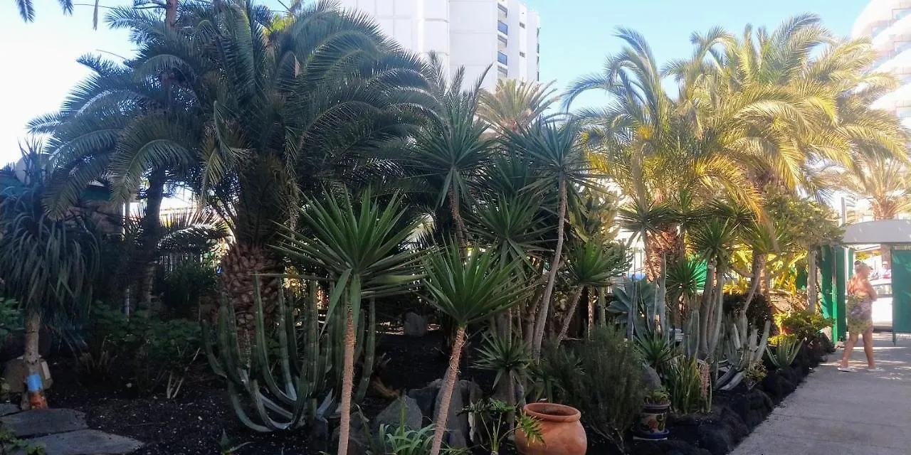Apartamento Cactus Maspalomas   Maspalomas (Gran Canaria)