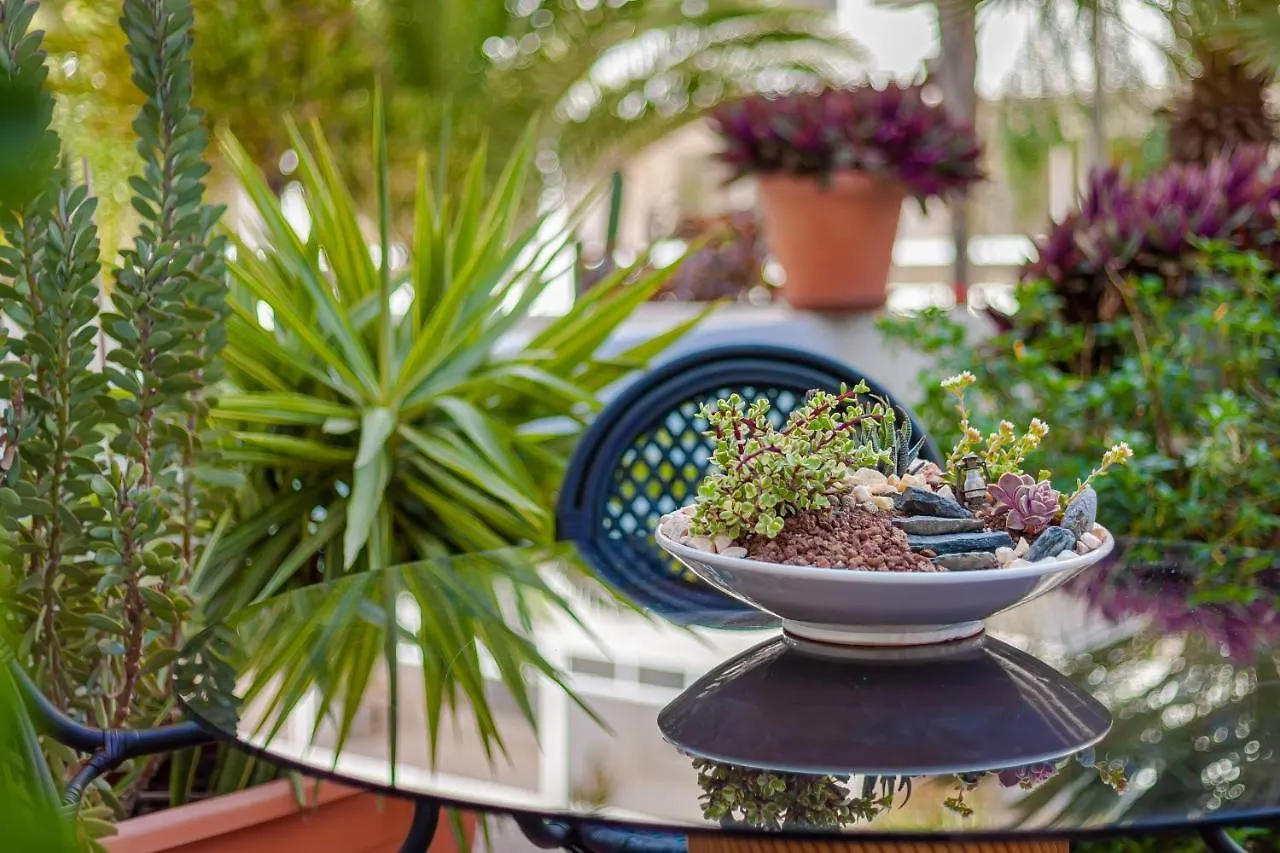 Apartamento Cactus Maspalomas
