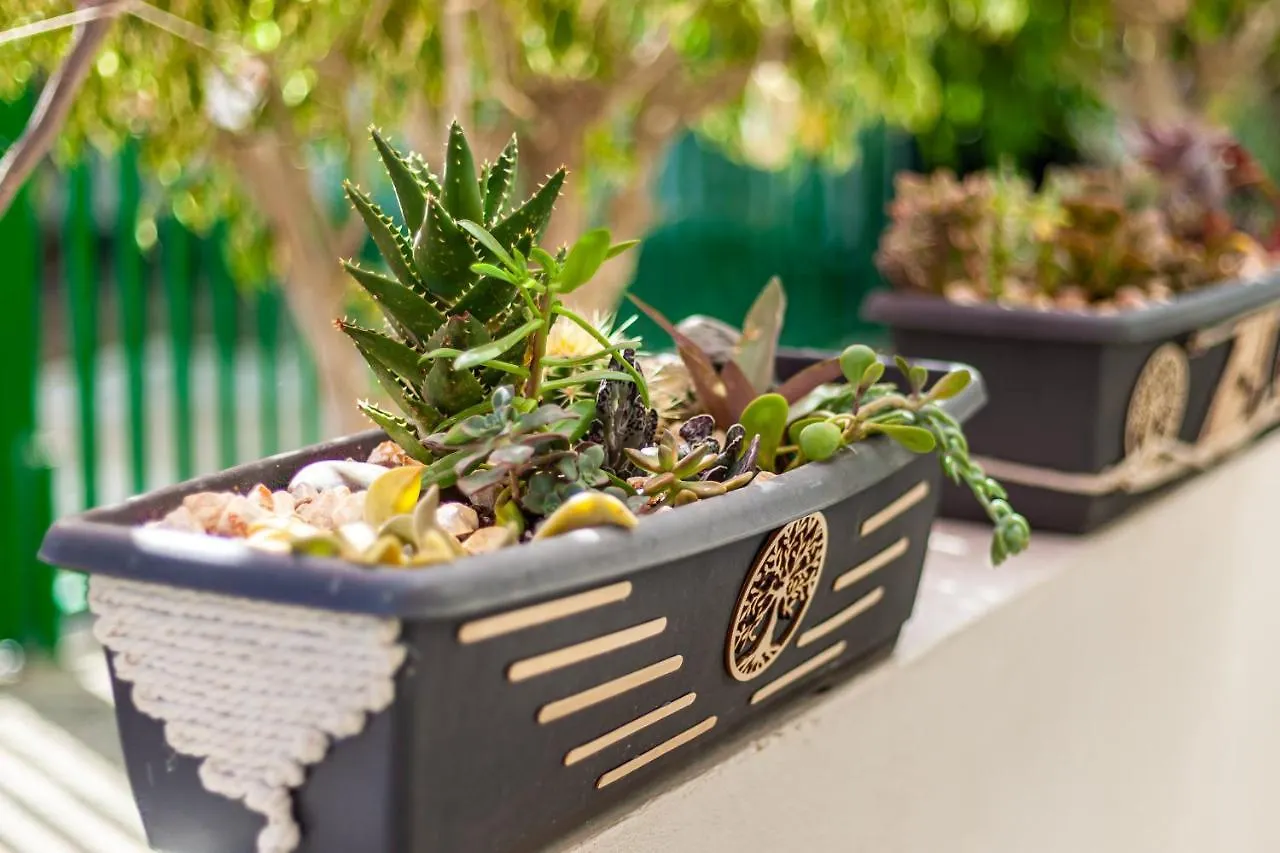 Apartamento Cactus Maspalomas  España